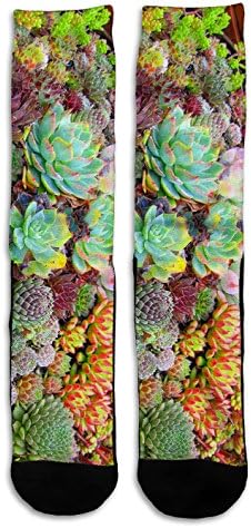 Succulents Plant - Custom Elite Style Athletic Sport Socks Crew 18"