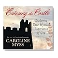 Entering the Castle Cover image