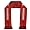 Tampa Bay Buccaneers