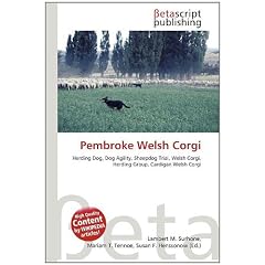Pembroke Welsh Corgi