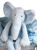 Designer Baby Boy Shawl Gift Basket