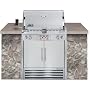 Weber Summit S-460 Built-In Natural Gas Grill with Rotisserie and Smoker