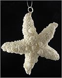 4.5 White Beaded Seashell Starfish Christmas Ornament