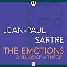 Emotions: Outline of a Theory