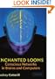 Enchanted Looms: Conscious Networks in Brains and Computers