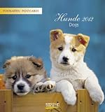 Hunde 2012 Postkartenkalender