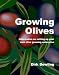 Growing Olives: Information On Setting Up Your Own Olive Growing Enterprise (Volume 1)