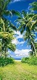 Beach Path 502 Wall Mural