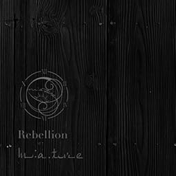 Rebellion