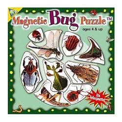 Mini Magnetic Bug Puzzle