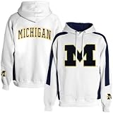 Mens Michigan Wolverines Spiral Hooded Sweatshirt