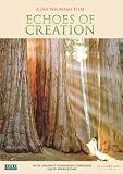 Echoes of Creation