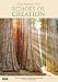 Echoes of Creation