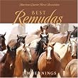 Best Remudas
