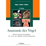 Dettagli prodotto