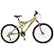 Most Popular Mountain Bikes