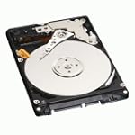 WD Scorpio Black WD1600BEKT - Hard drive - 160 GB - internal - 2.5" - SATA-300 - 7200 rpm - buffer: 16 MB (pack of 50 )