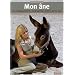 Mon Ane, le comprendre, l'�duquer, jouer avec lui