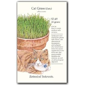 Botanical Interests 7201 Cat Grass Large Seed Packet
