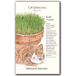 Cat Grass (Oats) Seeds - 45 grams by 