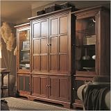 American View Entertainment Center