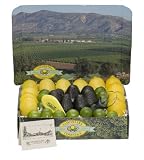 Gourmet Fresh Fruit - Gift of Entertainment