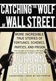 Catching the Wolf of Wall Street: More Incredible True Stories of Fortunes, Schemes, Parties, and Prison (Library)