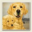 AbsorbaStone Coaster set~ Golden Retriever ~4 Tile Drink Coasters ~ code 832C