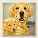 Kitchen & Housewares : AbsorbaStone Coaster set~ Golden Retriever ~4 Tile Drink Coasters ~ code 832C