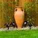 Solar spotlights, garden lights, pack of 4