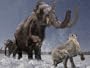 Mammoth Journey