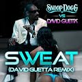 Sweat (Snoop Dogg vs. David Guetta) [Remix]