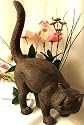 Large Cast Iron Cat Doorstop Rust