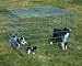 General Cage Pet Exercise Pens Top 24" W x 48" L