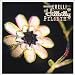 Mark Erelli-Hillbilly Pilgrim