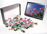 Photo Jigsaw Puzzle of Red tulips from from Danita Delimont