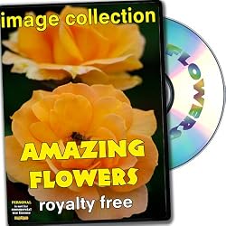 Amazing Flowers Royalty Free Image Collection, Personal License