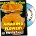 Amazing Flowers Royalty Free Image Collection, Personal License