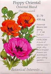 Poppy Oriental Blend Seeds