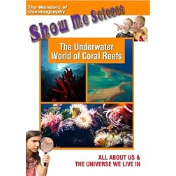 The Underwater World of Coral Reefs