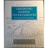 observing marine invertebrates drawings from the laboratory