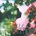 Essential Shoegazing Albums