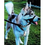 Head Collar #5 X-Large (Over 150 lbs) - Halti