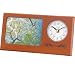 �V�`�Y�� CITIZEN �u���v ���[�U�[�N���b�N820 WR820-C06