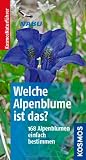 Welche Alpenblume ist das?: 168 Alpenblumen einfach bestimmen - Manuel Werner