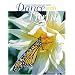 Beautiful Books . . on Painting !