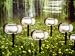 SET OF 6 LOW VOLTAGE DIRECTIONAL GARDEN LIGHTS