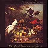 Exotic Birds and Fruit