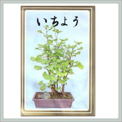 ProductImage