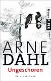 Ungeschoren: Kriminalroman - Arne Dahl